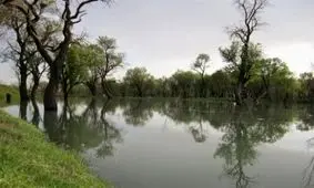 باغی که بهتر است در شب از آن دیدن نکنید / عکس