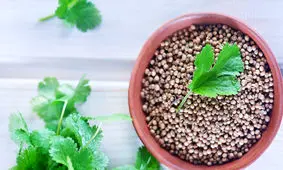 تاثیر تخم گشنیز بر کاهش عوارض قلبی دیابت نوع 2