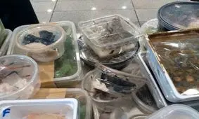 کشف ۲۰۰ مارمولک مار، لاک پشت، عقرب و رتیل از چمدان در فرودگاه امام