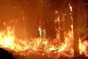 هولناک‌ترین آتش سوزی‌ های تاریخ/ به روایت تصویر