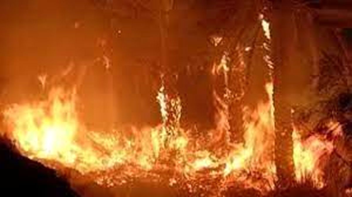 هولناک‌ترین آتش سوزی‌ های تاریخ/ به روایت تصویر