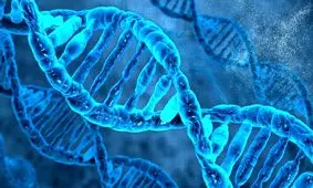 کووید 19 ساخت چین است؟!