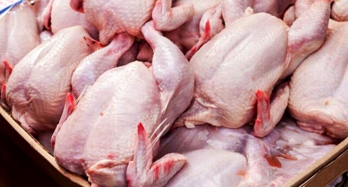 کشف ۸۰۰ کیلوگرم گوشت مرغ فاقد مجوز در طبس