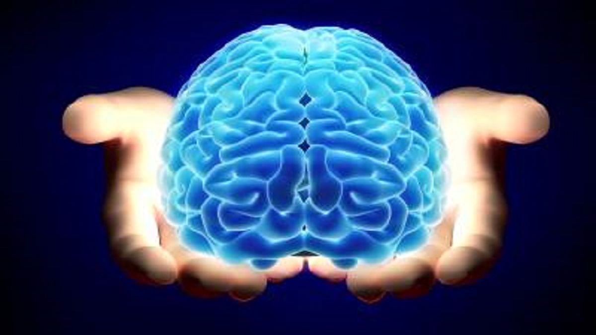 اگر نگران سلامت مغزتان هستید، ۶ عادت غلط را کنار بگذارید!