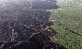 "هور" دوباره آتش گرفت / حریق ۱۵۰۰ هکتار از تالاب