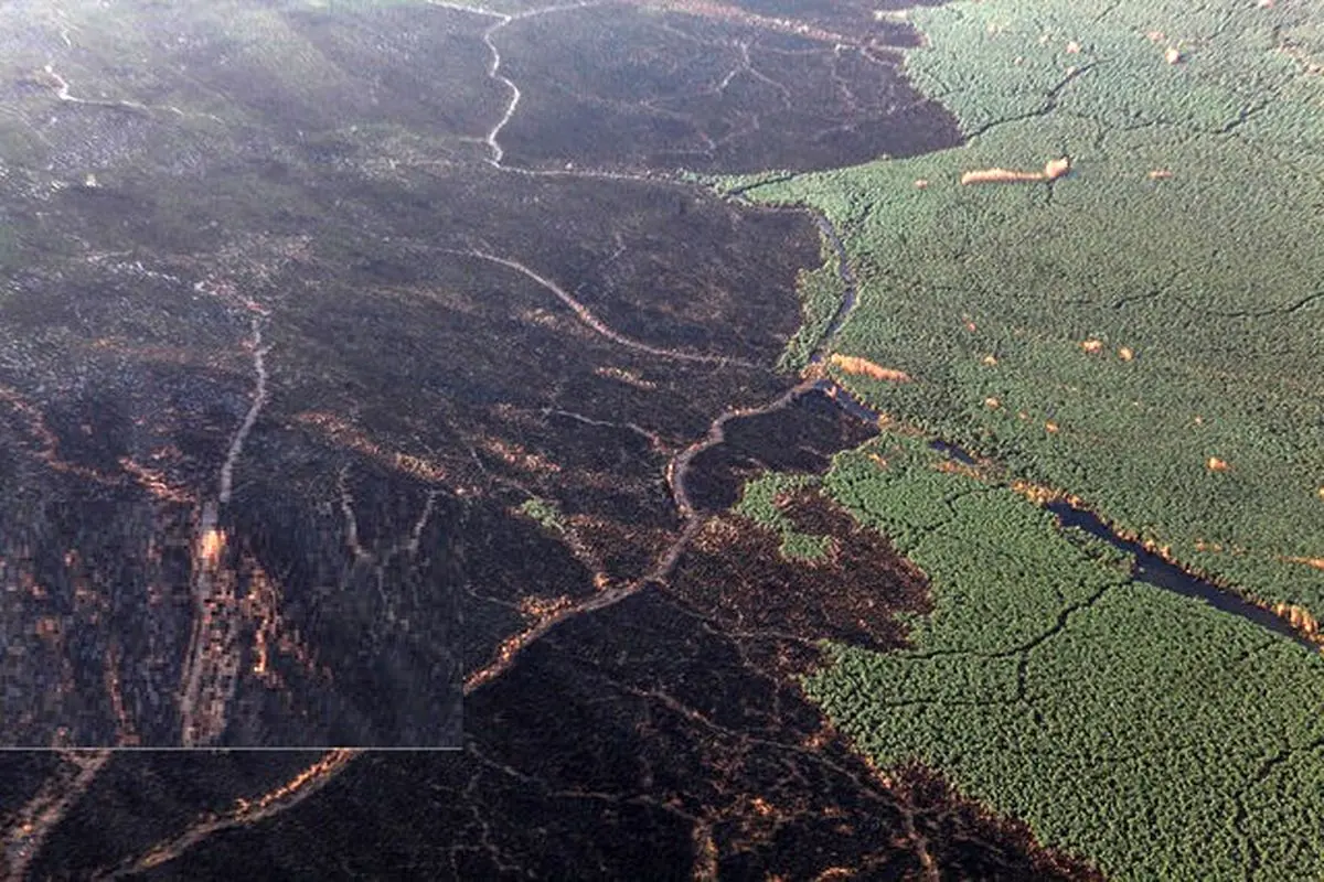 "هور" دوباره آتش گرفت / حریق ۱۵۰۰ هکتار از تالاب