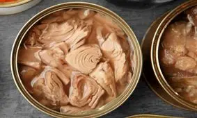 تن ماهی گران تر می شود/ افزایش ۱۵ درصدی از ماه آینده