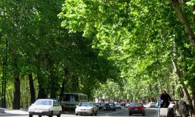 زیباترین خیابان های جهان؛ شگفتی و آرامش را به چشم خود ببینید