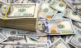 ارزهای وارد شده به کشور قابل رویت می‌شوند