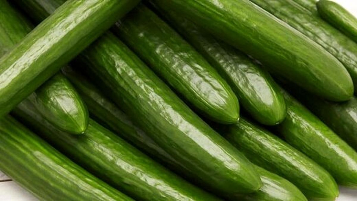 هشدار؛ مصرف همزمان این خوراکیها با خیار خطرناک است