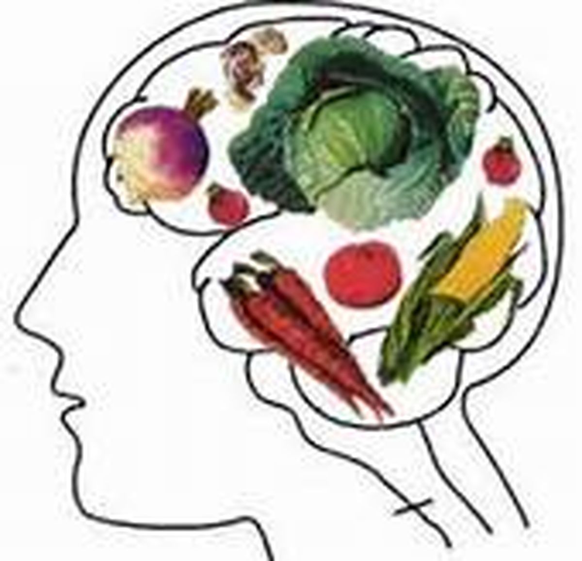 بررسی ارتباط ناحیهای از مغز با میل به غذا