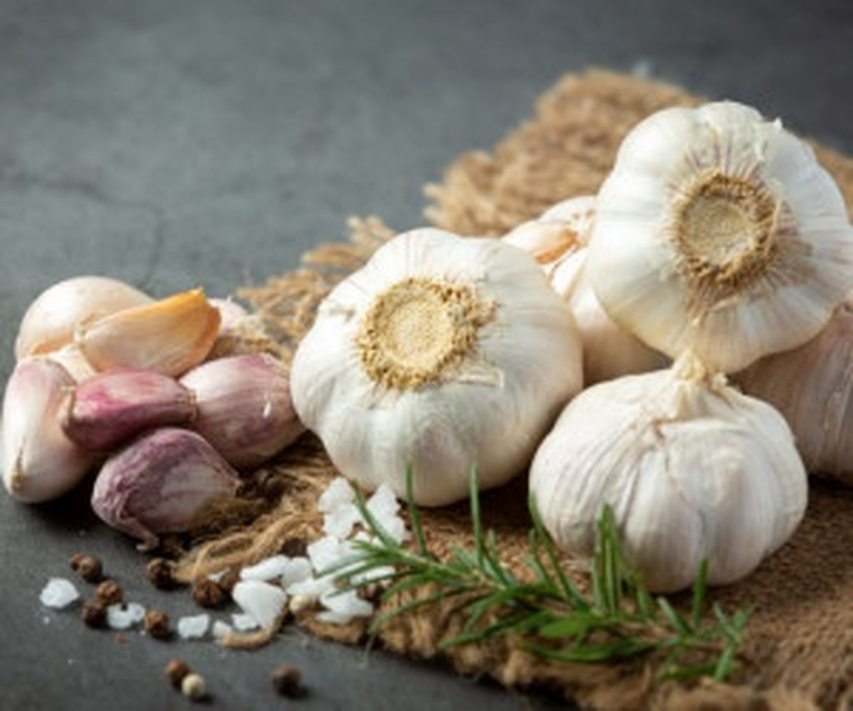 از معجزه سیر چه میدانید؟