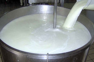 انتقاد از تاخیر دولت در تعیین نرخ شیرخام