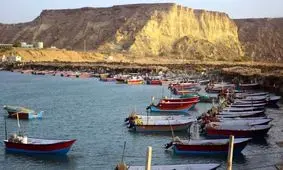 فعالیت بیش از ۳۵ درصد از صیادان کشور در بوشهر/ در حوزه باغبانی ضعف داریم