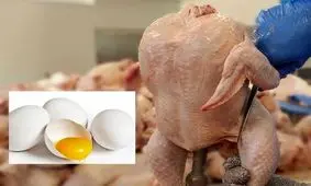  بازار مرغ و تخم مرغ روی آرامش را می‌بیند؟