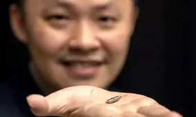 ساخت شناگرهای ماهر رباتیک با الهام از اسپرم پرتوماهی!