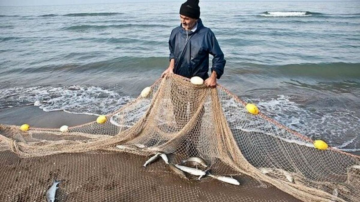 ۹۰ درصد صید ماهیگیران آستارا حاصل تکثیر مصنوعی است