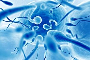 میدان مغناطیسی چه تأثیری بر اسپرم انسان دارد؟