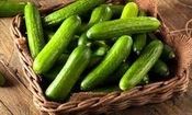خودکشی عجیب مرد مشهدی با خیار
