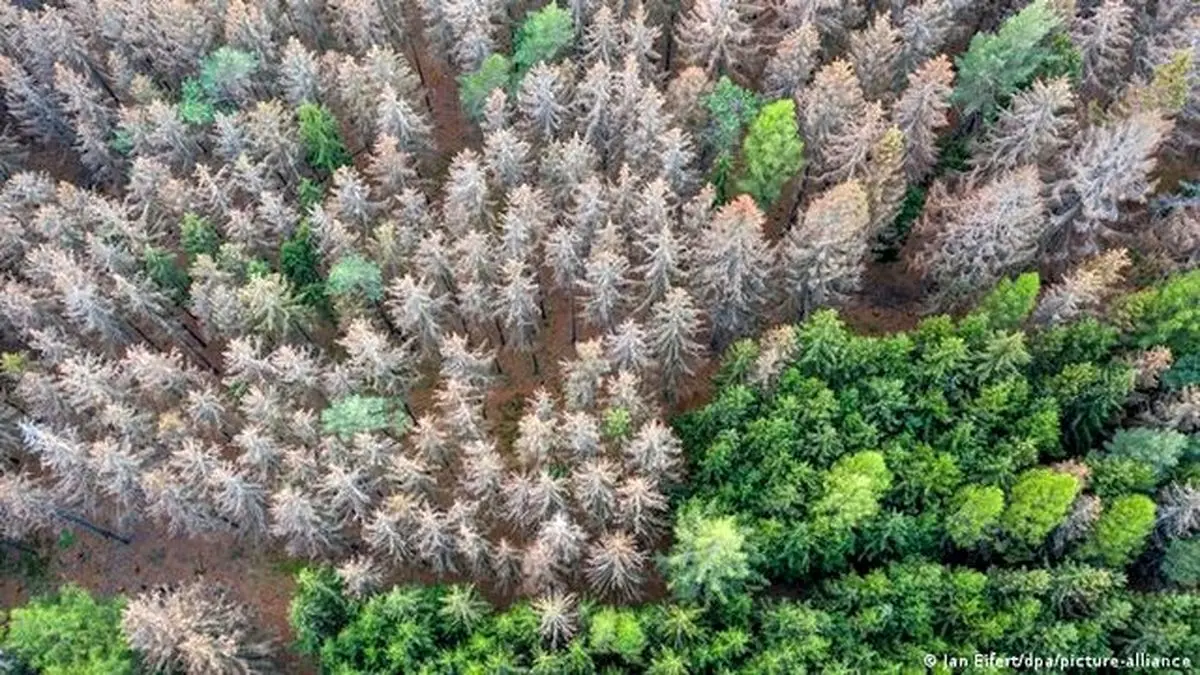 آلمان در معرض تغییرات اقلیمی شدید