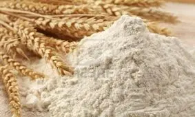 سه گانه گندم، آرد و نان با فعالیت ۱۲۰۰ واحد خبازی در استان خراسان شمالی چه ارتباطی دارد؟