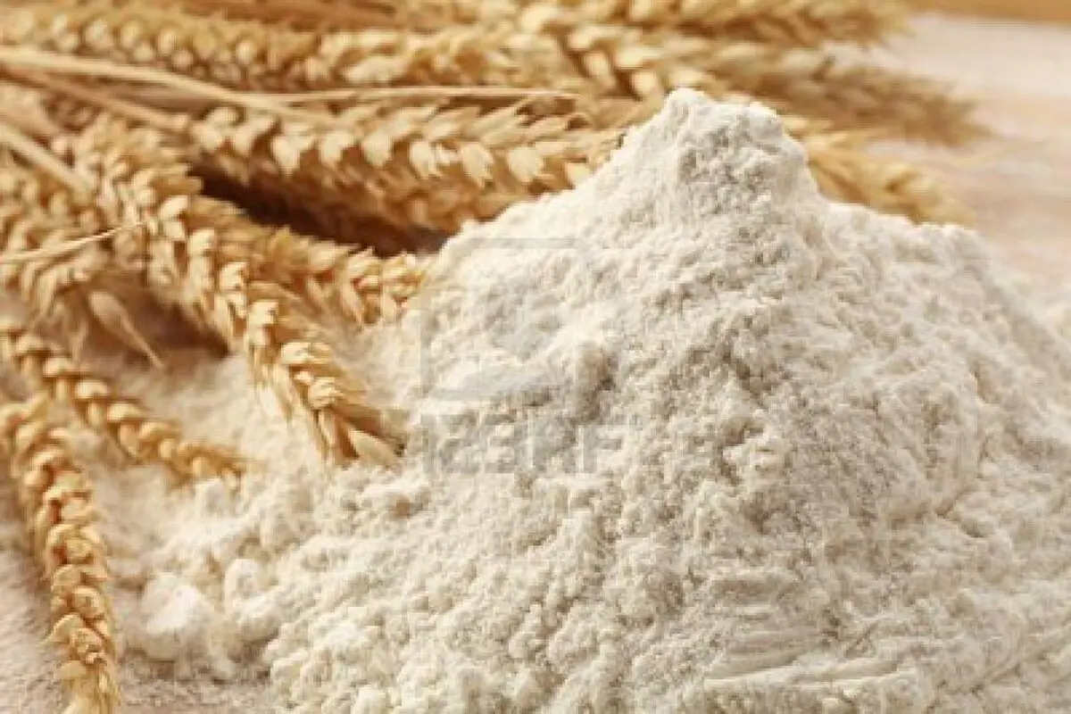 سه گانه گندم، آرد و نان با فعالیت ۱۲۰۰ واحد خبازی در استان خراسان شمالی چه ارتباطی دارد؟