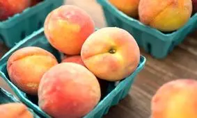 ۹ میوه کم قند را با خیال راحت، روزانه مصرف کنید