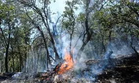 آتش جنگل‌های کوه «حاتم» مهار شد