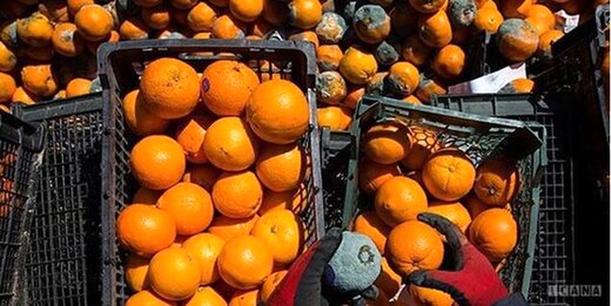 جدیدترین قیمتها در بازار میوه و تره بار از زبان رئیس اتحادیه