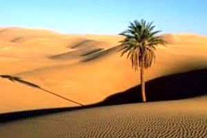 برنامه عربستان برای کاهش وابستگی به نفت با کمک صحرا