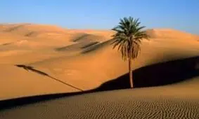 برنامه عربستان برای کاهش وابستگی به نفت با کمک صحرا