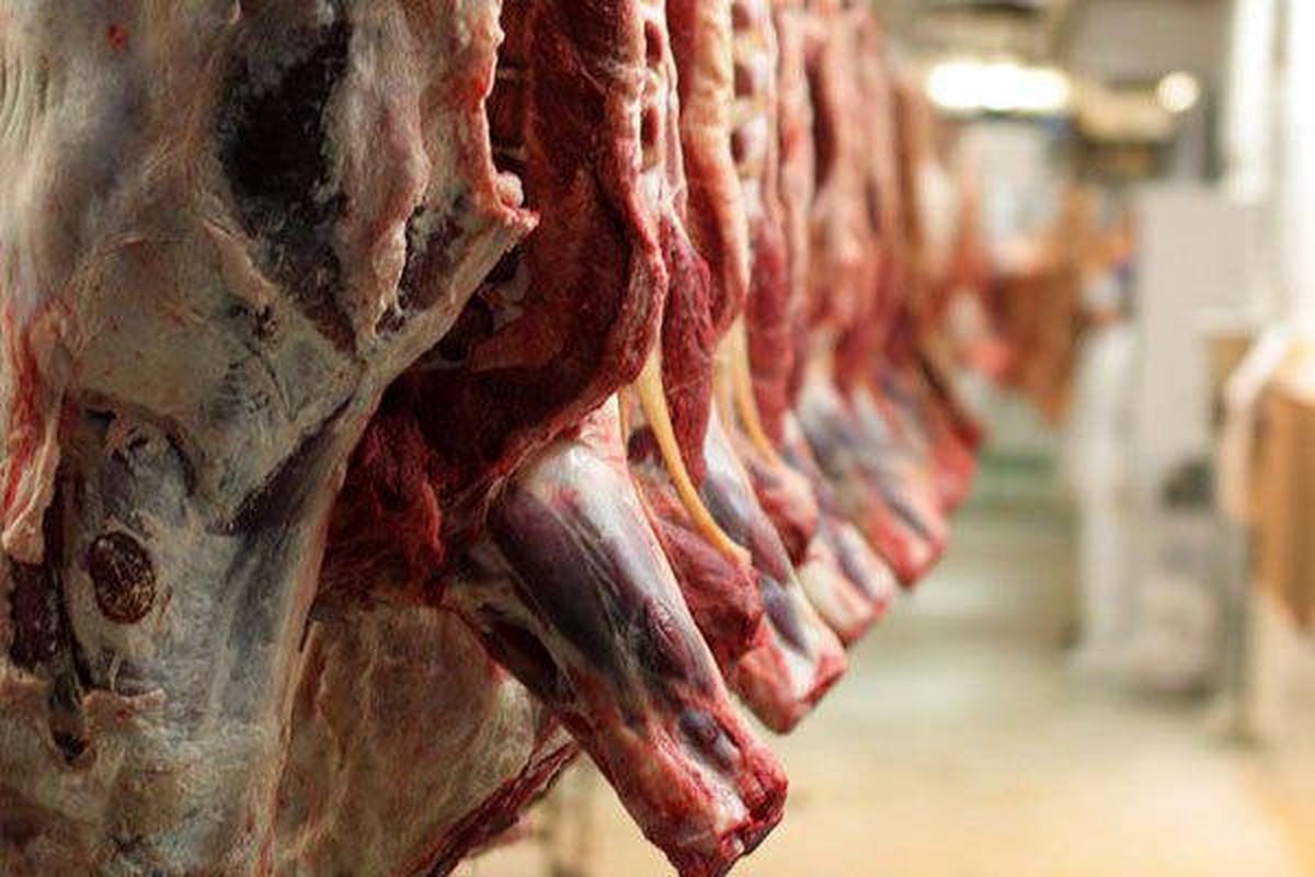 قیمت گوشت قرمز در بازار/ شقه گوسفندی ١١۵ تا ١٢٨ هزار تومان