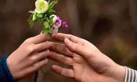 همه چیز درباره خستگی عاطفی/عادت های روزمره را چطور تغییر دهیم؟