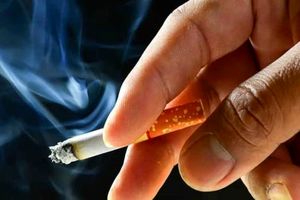 مرگ و میر دو برابری سیگاری های مبتلا به کرونا نسبت به غیرسیگاری ها