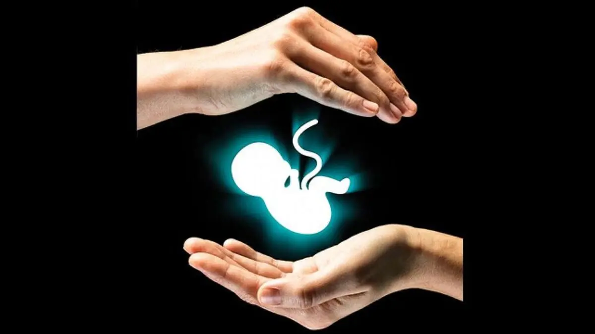 سالانه ۱۲ هزار درخواست سقط به پزشکی قانونی ارسال می‌شود