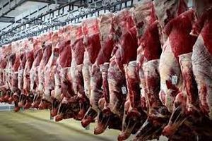 تولید گوشت قرمز در استان مرکزی ۵۵ درصد افزایش یافت