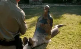 زنده زنده بلعیده شدن یک مرد توسط مار پیتون