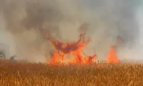 آتش سوزی در باغات روستاهای اردستان/ افزایش دما عامل آتش سوزی است