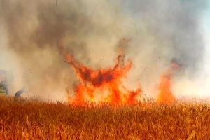 آتش سوزی در باغات روستاهای اردستان/ افزایش دما عامل آتش سوزی است