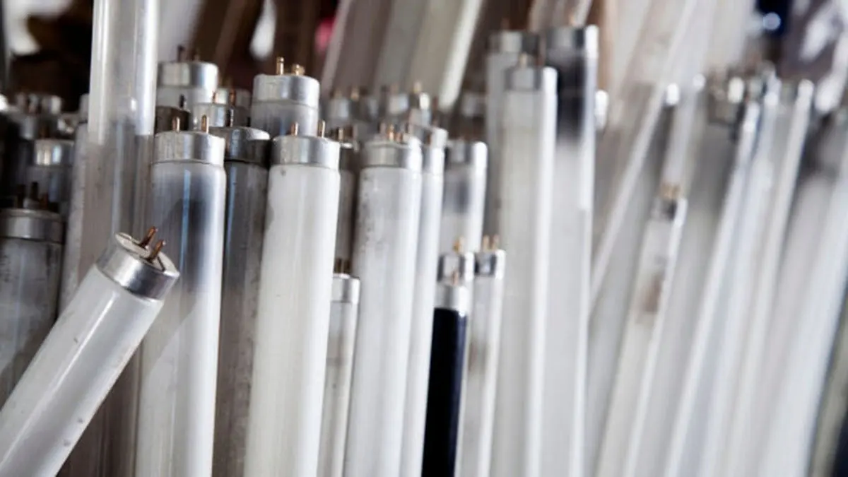 استفاده از وزوز مهتابی‌ها برای پیشرفت رایانش!