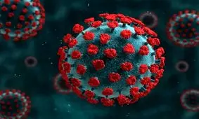 کرونا در سمنان سیر نزولی دارد/ مردم از عادی انگاری پرهیز کنند