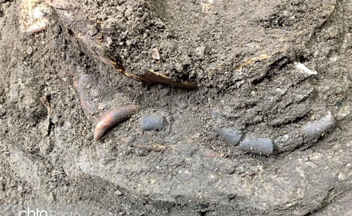 کشف اسکلت ۱۲ هزار ساله کودکی که نشسته دفن شده است/ کاوش در غار هوتو مازندران/ ویدئو