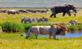 افزایش بیش از ۱.۵ درجه دمای هوا، تهدید جدی برای گونه های حیاتیِ زمین