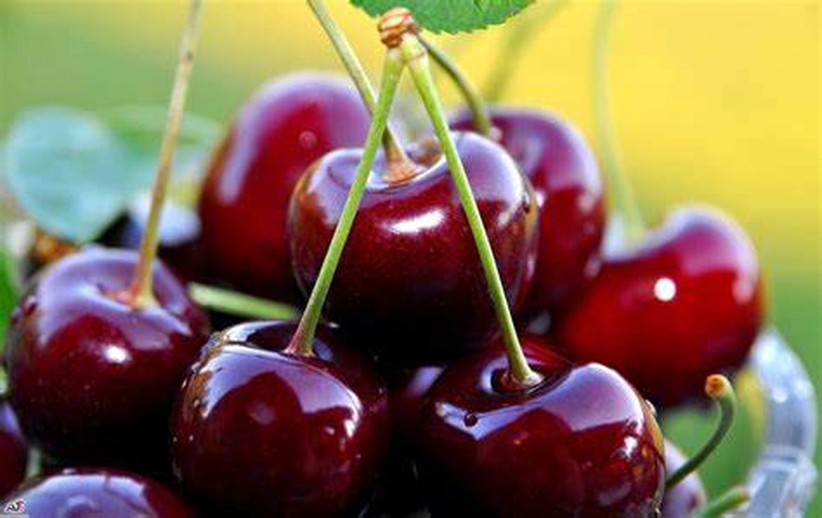 چطور گیلاس خوب و تازه را هنگام خرید تشخیص دهیم؟