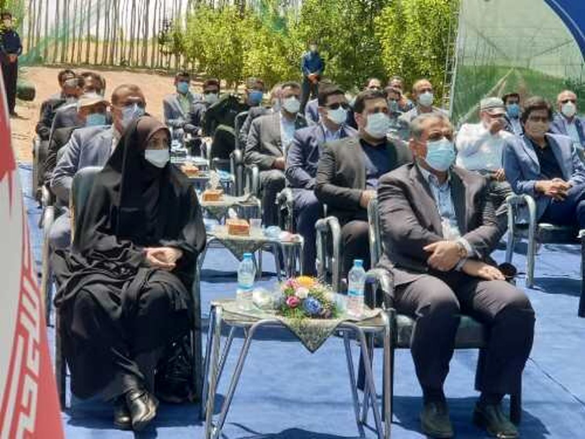 مدرنترین طرح سایبان باغهای میوه کشور در قزوین افتتاح شد