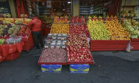 میوه ارزان می شود/ افزایش کرایه، علت اصلی نوسان قیمت گوجه فرنگی است