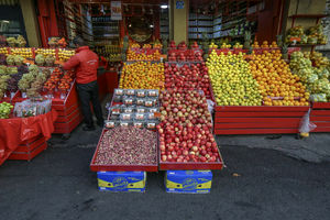 میوه ارزان می شود/ افزایش کرایه، علت اصلی نوسان قیمت گوجه فرنگی است