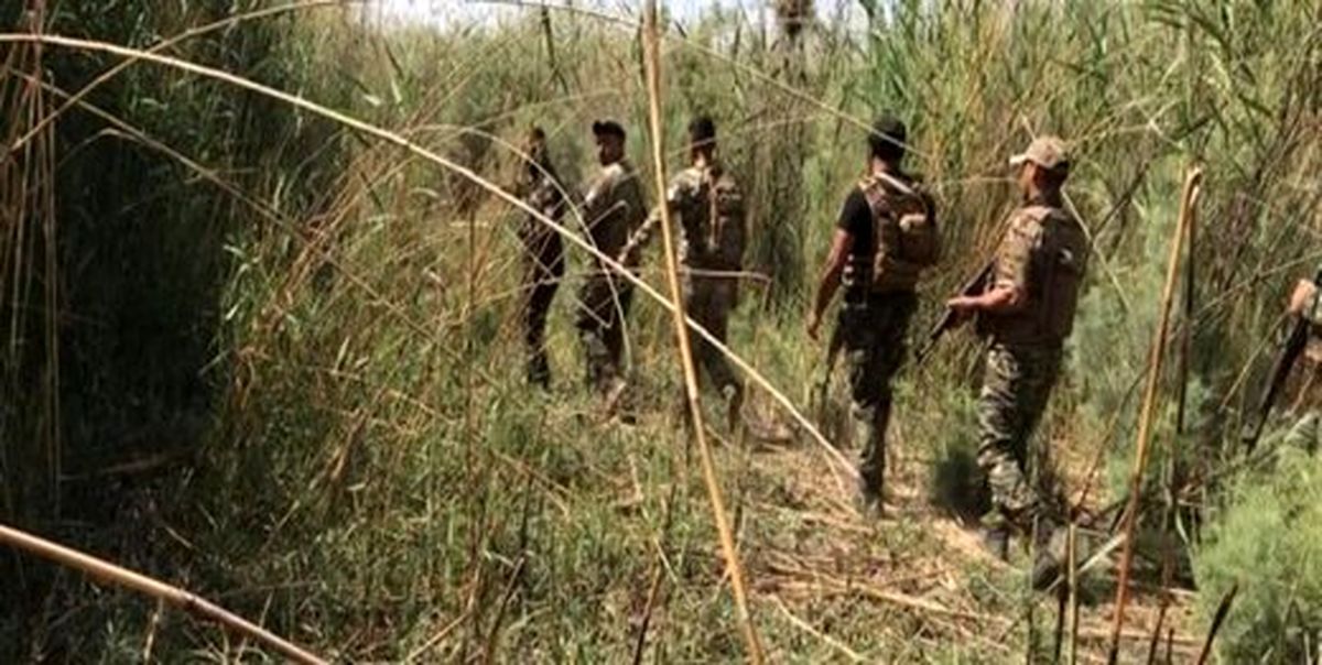 الحشدالشعبی داعشیها را غافلگیر کرد