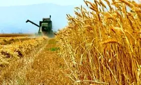 اتصال دانش بنیان ها به زمین های کشاورزی در دولت رئیسی رقم می خورد