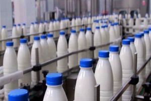 افزایش ۸۸ درصدی قیمت شیر خام در ۲ سال گذشته